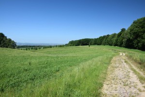 Landschaft in der Sächsischen Schweiz