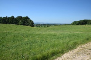 Landschaft in der Sächsischen Schweiz