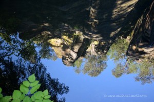Spiegelung in der Kirnitzsch