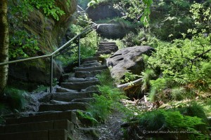 Treppen am Pfaffenstein