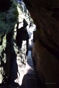 Felsen auf dem Pfaffenstein