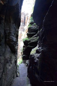 Felsen auf dem Pfaffenstein