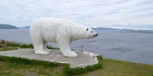 Eisbärenclub in Hammerfest