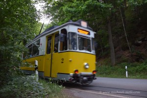 Straßenbahn im Wald