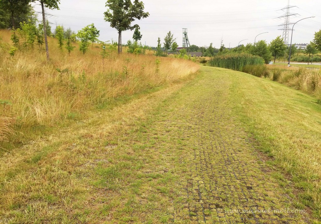 Ein echter Wanderweg durchs Grün