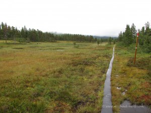 10 Kilometer Holzsteg