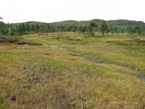 Wanderung zum geografischen Mittelpunkt