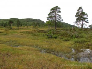 Einsame Landschaft