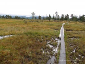 Wanderung auf Holzstegen