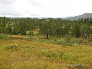 Wandern in der Einsamkeit