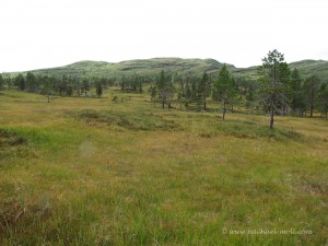 Norwegische Landschaft