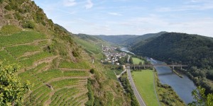 Wandern an der Mosel