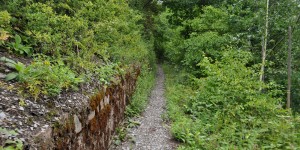 Wanderweg im Zeller Hamm