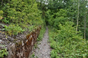 Wanderweg im Zeller Hamm