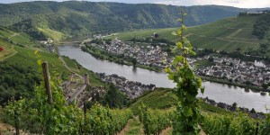 Ausblick auf Zell