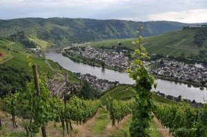 Ausblick auf Zell