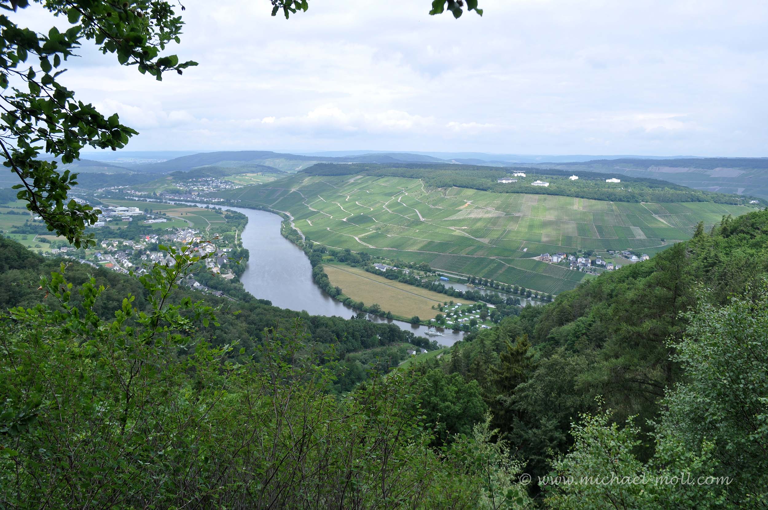 Mosellandschaft bei Bernkastel-Kues