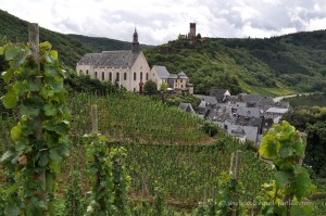 Moselkrampen bei Beilstein