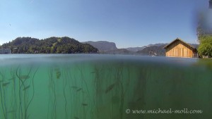 Der See in Bled