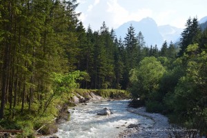 Fluss im Nationalpark