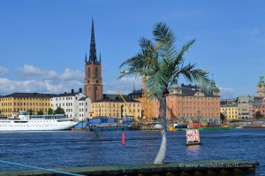 Palmen in Stockholm