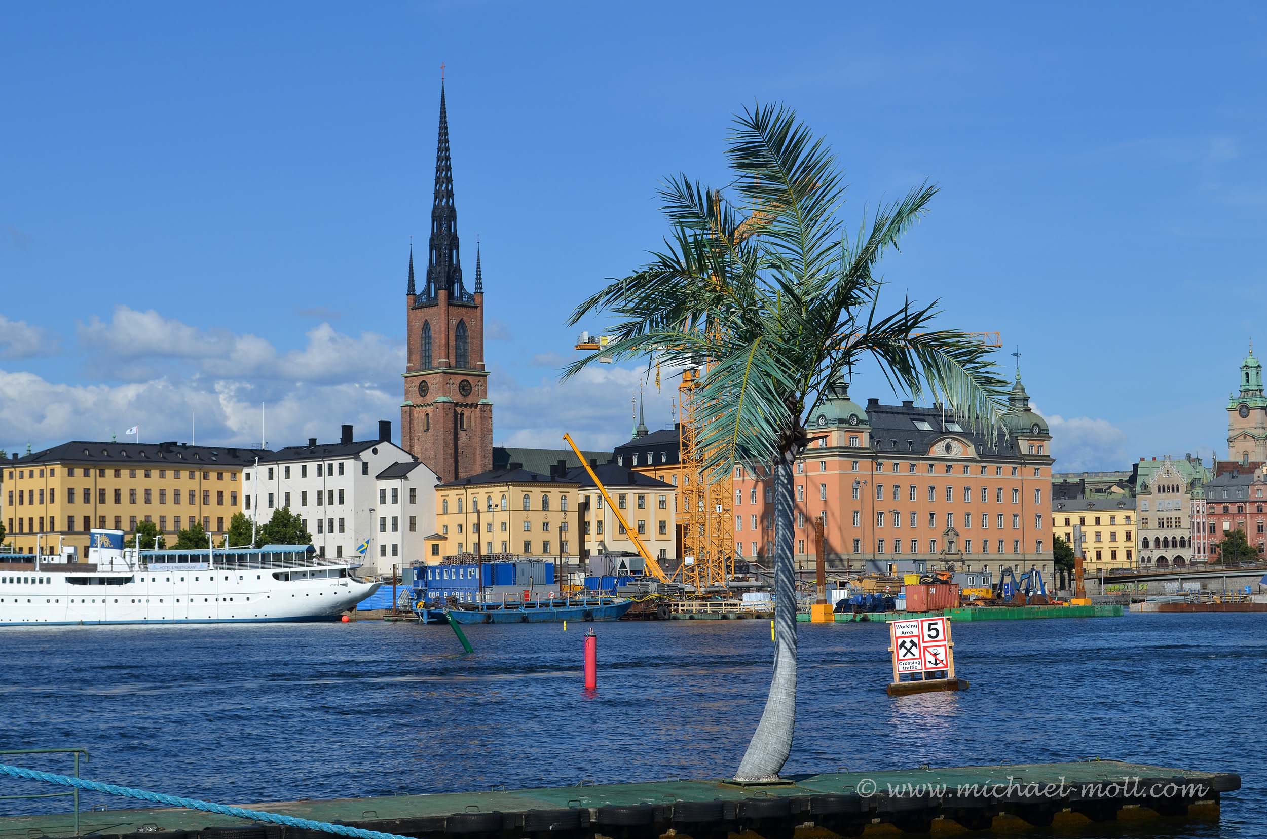 Palmen in Stockholm