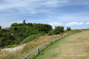 Hastings Castle hinter Bäumen