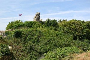 Hastings Castle hinter Bäumen