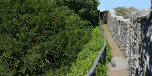 Burgmauer