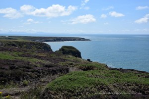 Heidelandschaft an der Küste von Wales