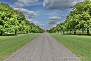 Long Walk in Windsor