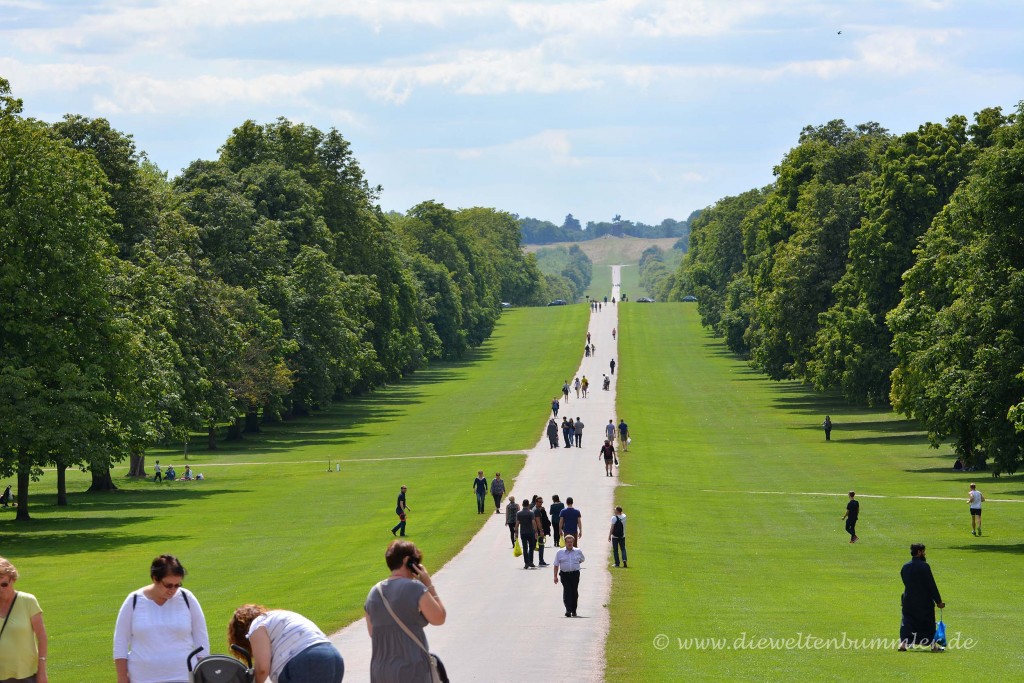 Long Walk in Windsor