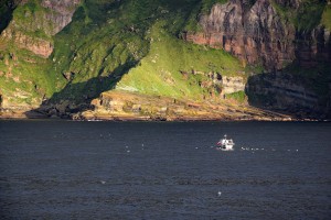 Mächtige Steilküste der Orkney-Inseln