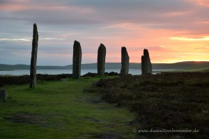 Steine vom Ring of Brodgar