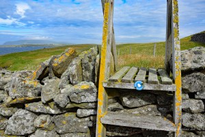 Über Stock und Stein wandern