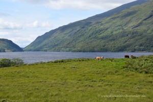 Loch Awe