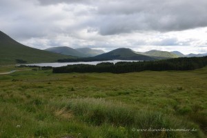 Blick auf Loch Tulla