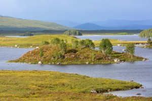 Seen und Inseln im Rannoch Moor