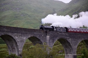 Dampflok auf dem Glenfinnan Viadukt