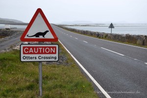 Achtung Otter