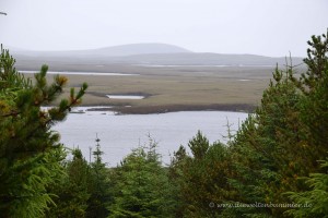 Landschaft auf Uist