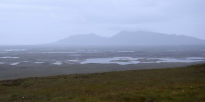 Moorlandschaft direkt neben dem Wald