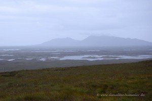 Moorlandschaft direkt neben dem Wald