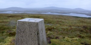 Vermessungspunkt im Moor