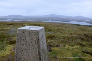 Vermessungspunkt im Moor