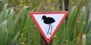 Vogelhinweisschild