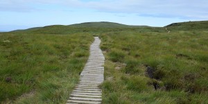 Wanderweg auf der Insel Handa