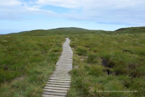 Wanderweg auf der Insel Handa