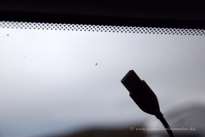 Midges im Größenvergleich