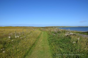 Grasiger Wanderweg am Ring of Brodgar